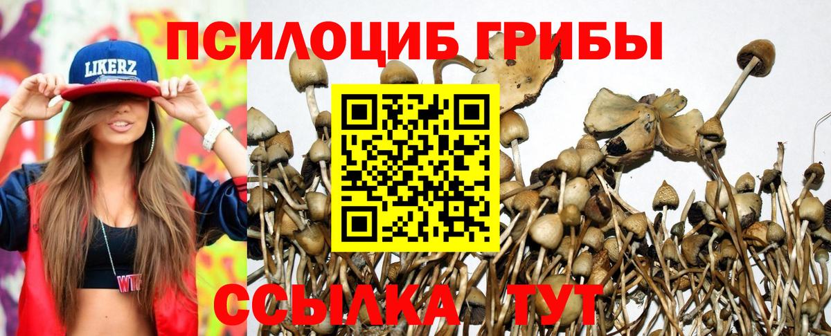 Галлюциногенные грибы Psilocybe  Вход с VPN  Петропавловск-Камчатский 