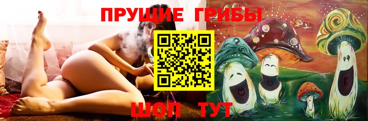 Галлюциногенные грибы GOLDEN TEACHER Петропавловск-Камчатский